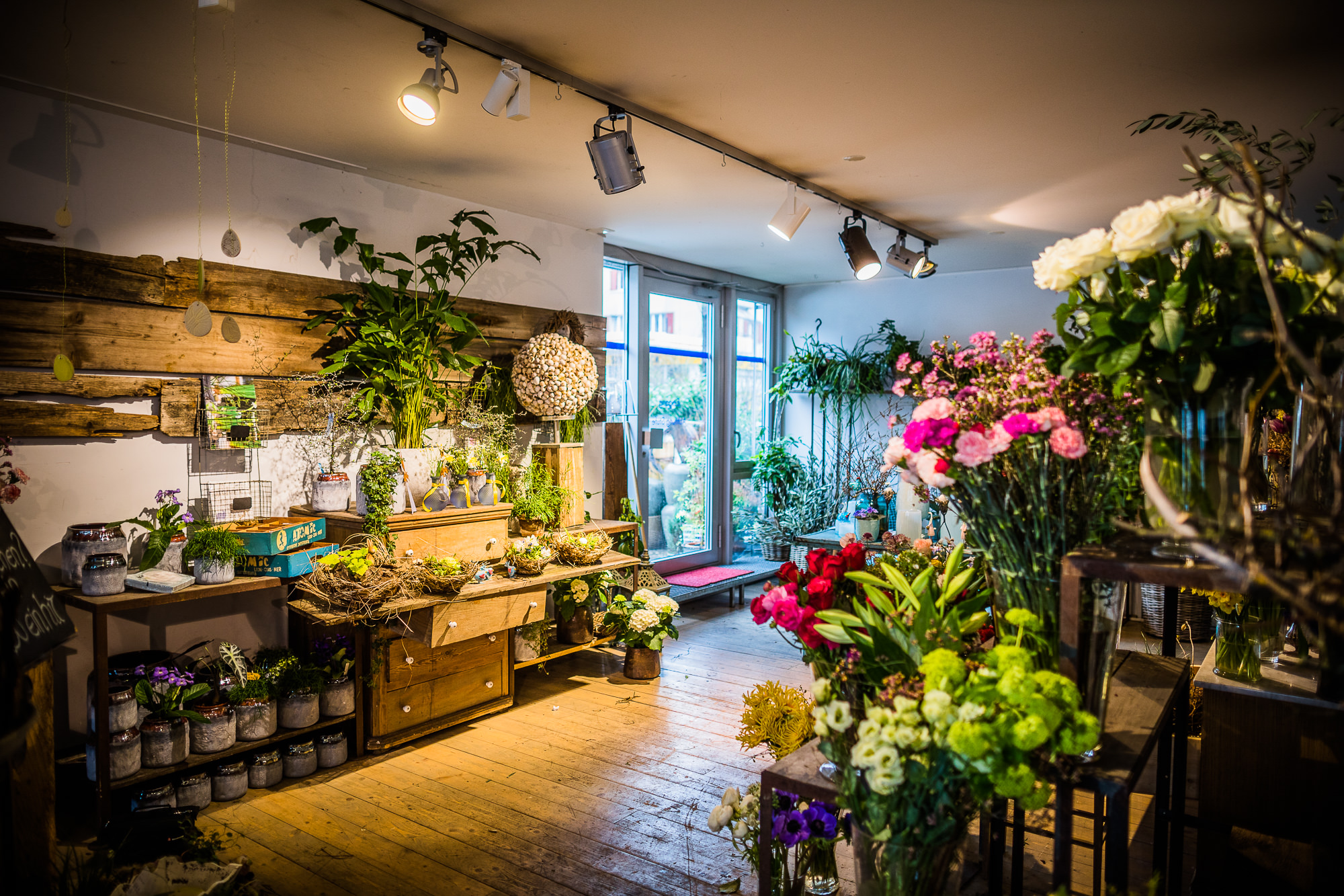 Export x3 5D4 9390 Businessauftrag 2017 Blattform Aarau